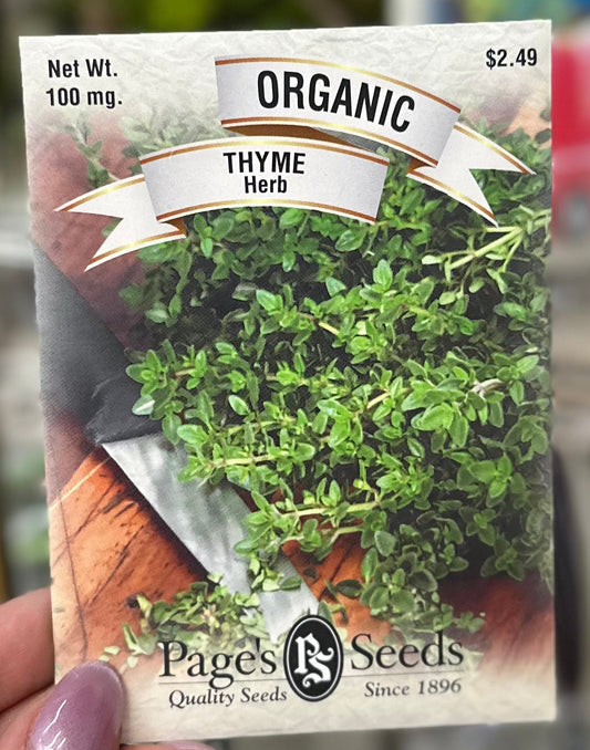 Organic Thyme Seed