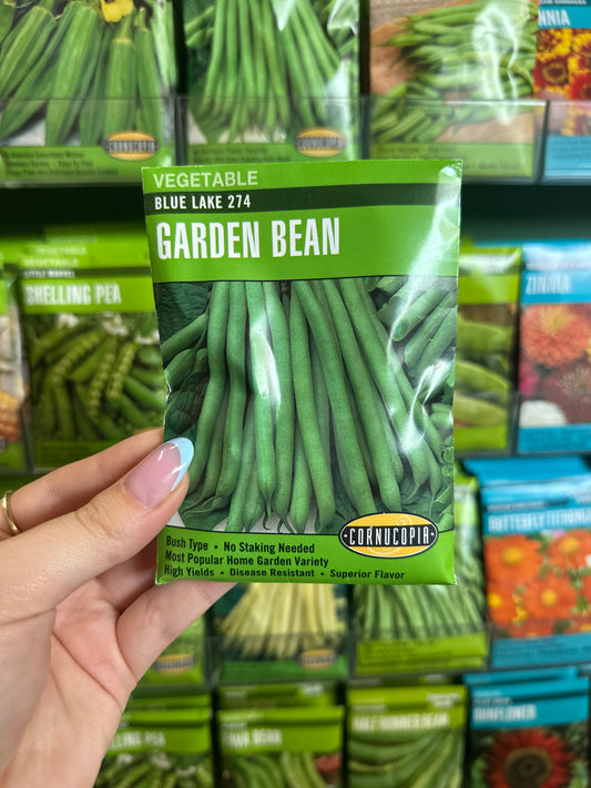 Blue Lake 274 Garden Bean