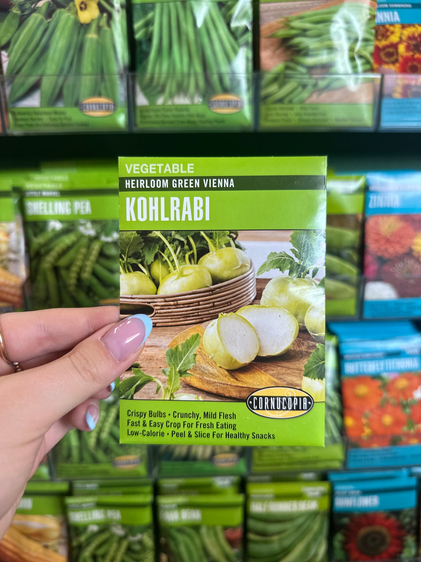 Heirloom Green Vienna Kohlrabi