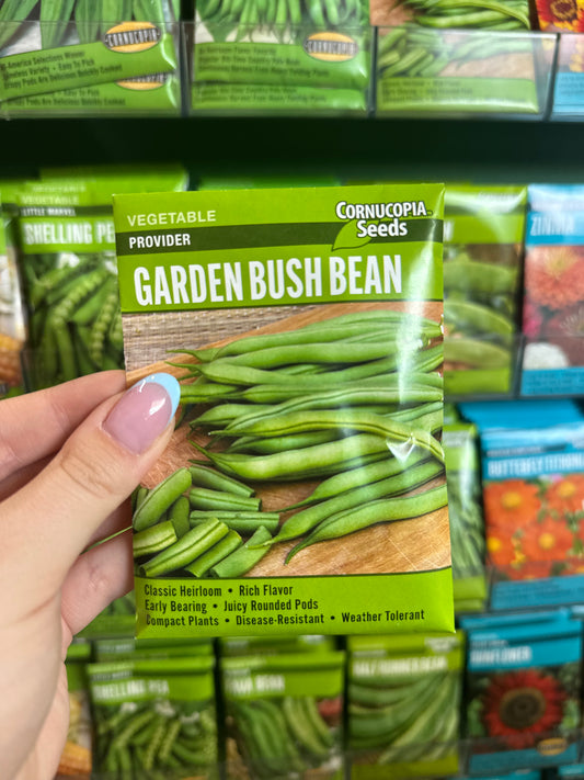 Provider Garden Bush Bean