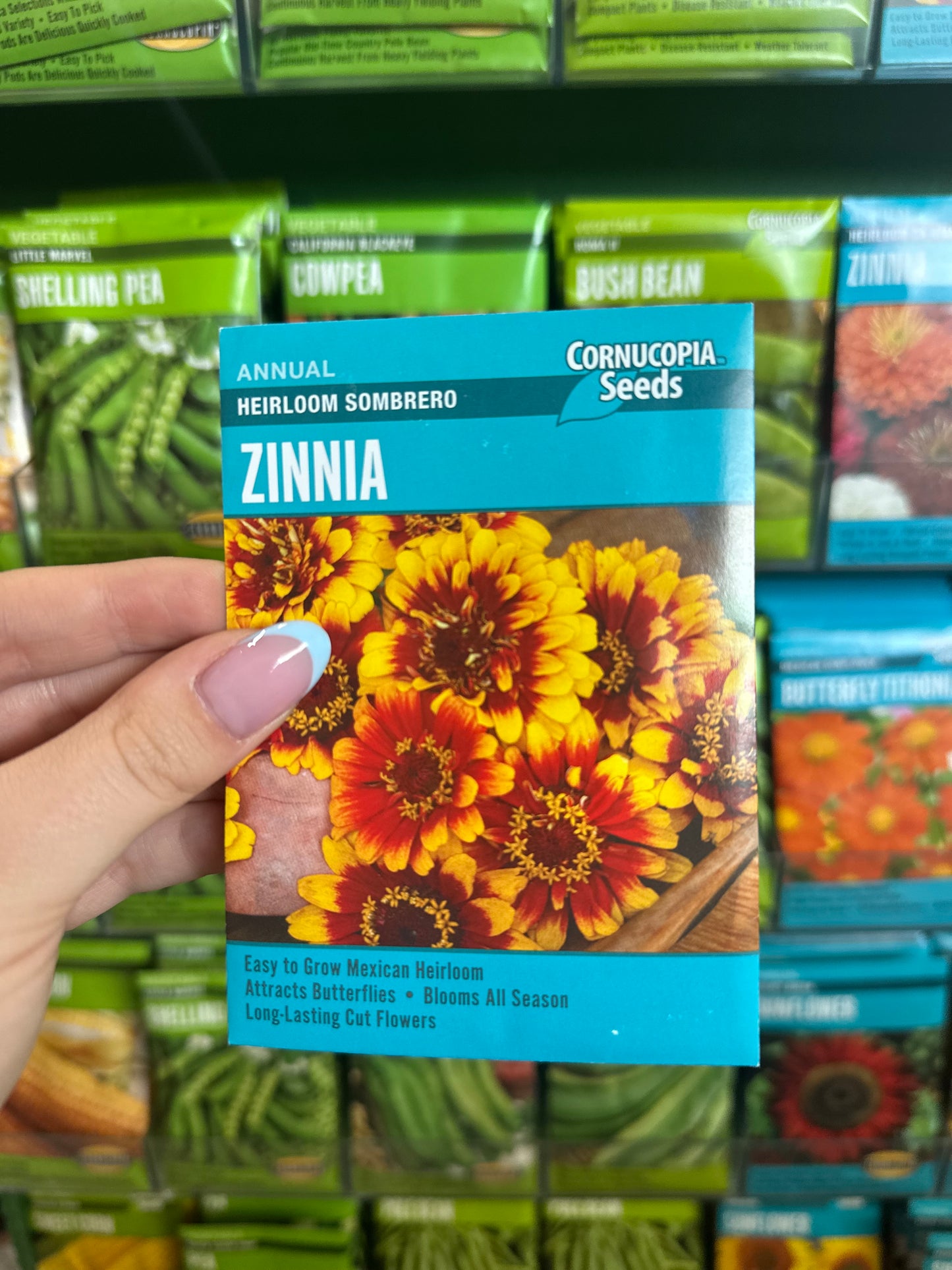 Heirloom Sombrero Zinnia