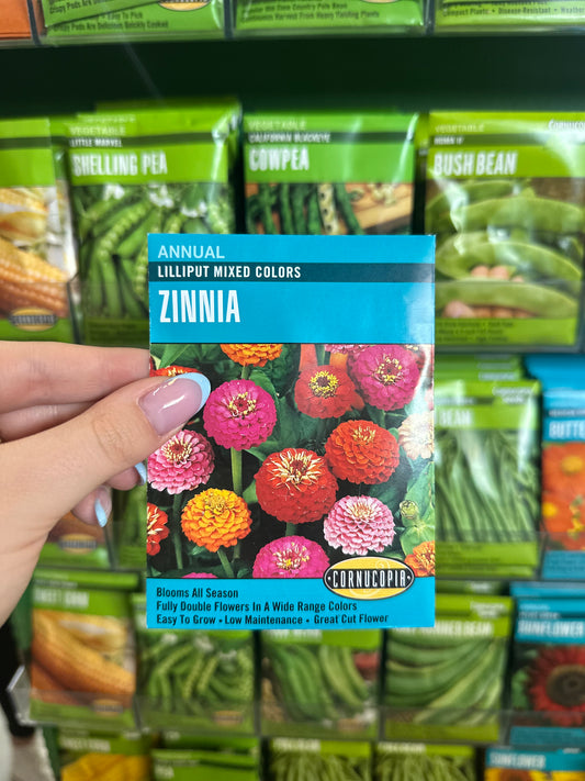 Lilliput Mixed Colors Zinnia
