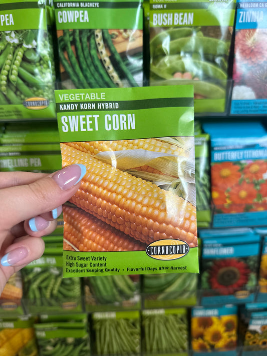 Kandy Korn Hybrid Sweet Corn