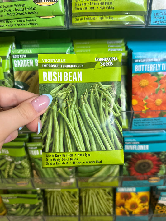 Improved Tendergreen Bush Bean