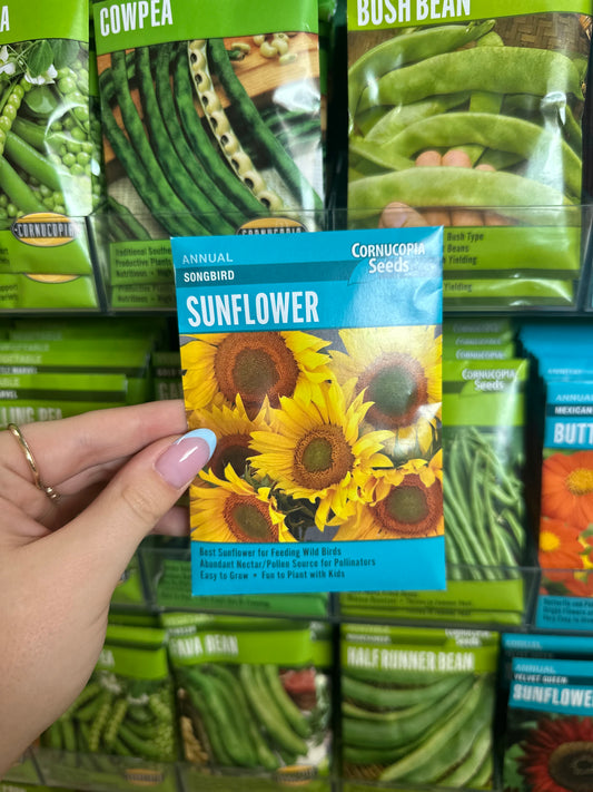 Songbird Sunflower