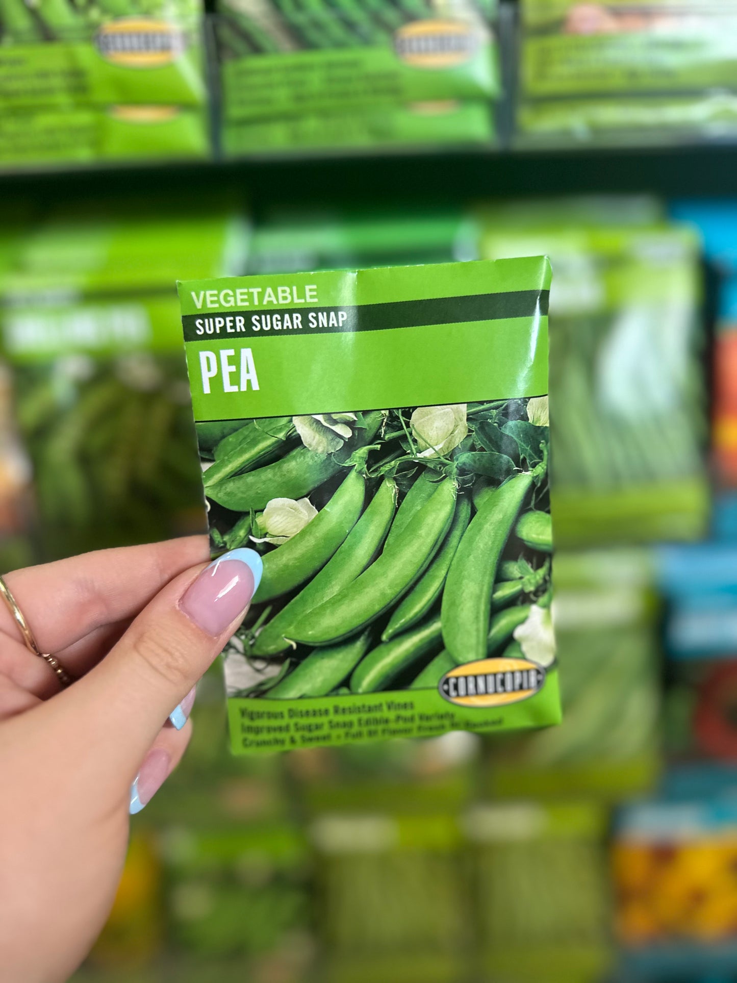 Super Sugar Snap Pea