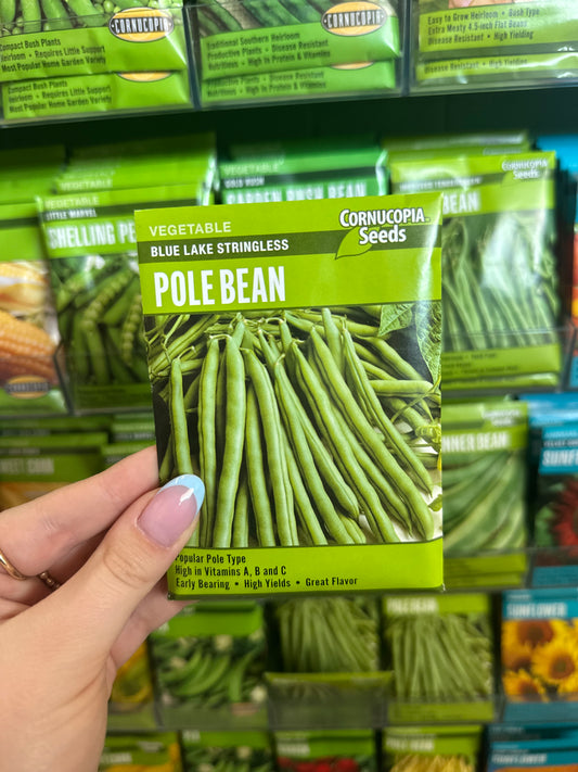 Blue Lake Stringless Pole Bean