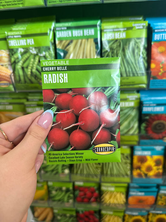 Cherry Belle Radish