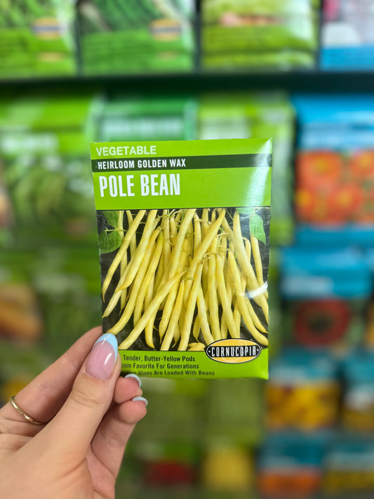 Heirloom Golden Wax Pole Bean