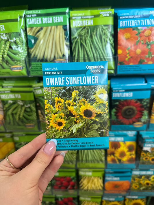 Fantasy Mix Dwarf Sunflower