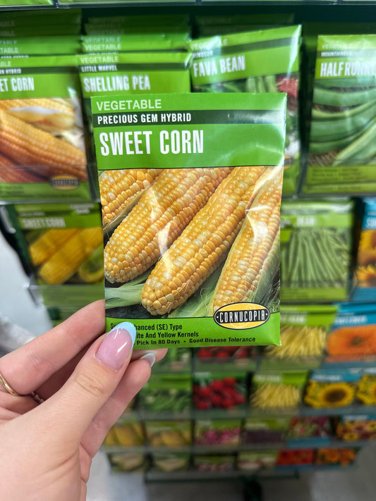 Precious Gem Hybrid Sweet Corn