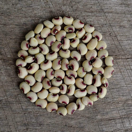 Purplehull Pinkeye Cowpea Seed