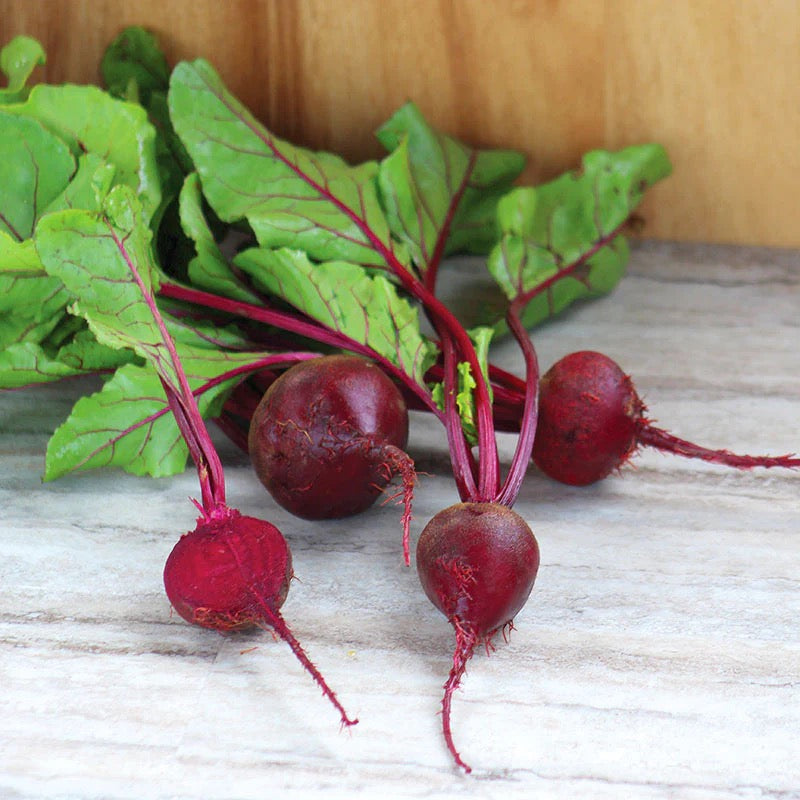 Detroit Dark Red Beets Seed