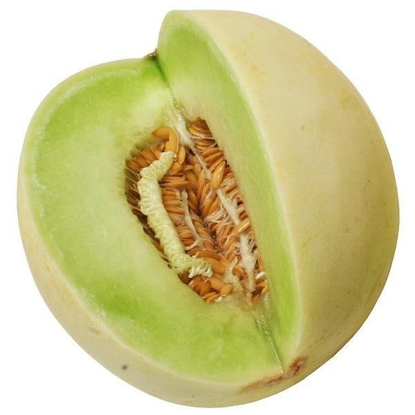 Semillas de melón de pulpa verde Honeydew