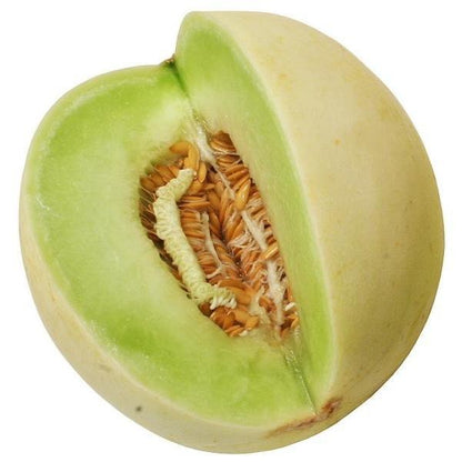 Semillas de melón de pulpa verde Honeydew