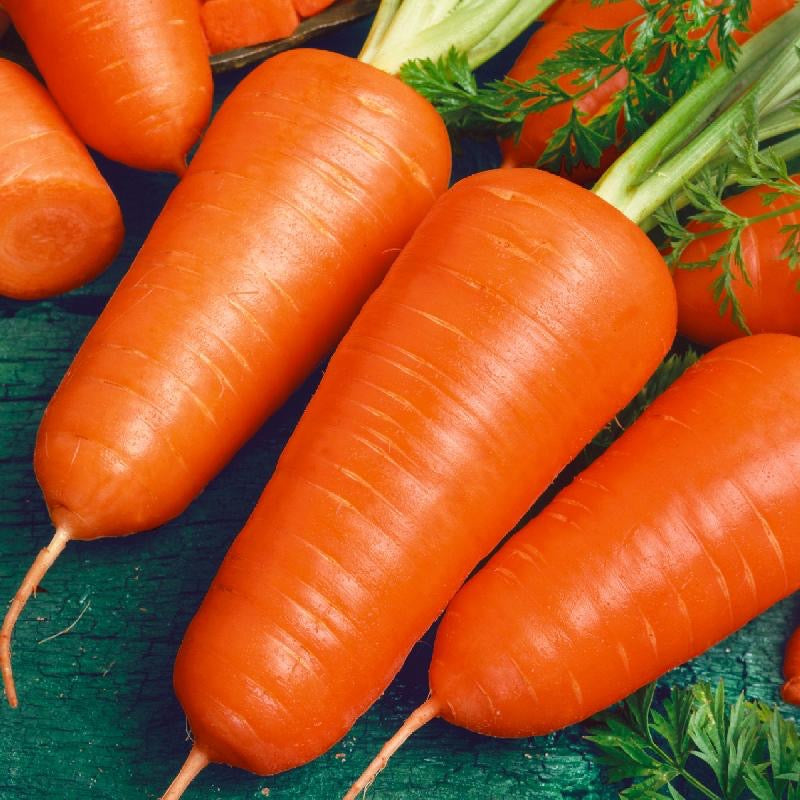 Chantenay Red Cored Carrot Seeds