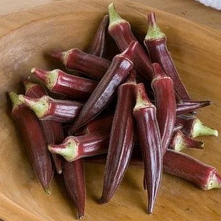 Red Burgundy Okra Seed