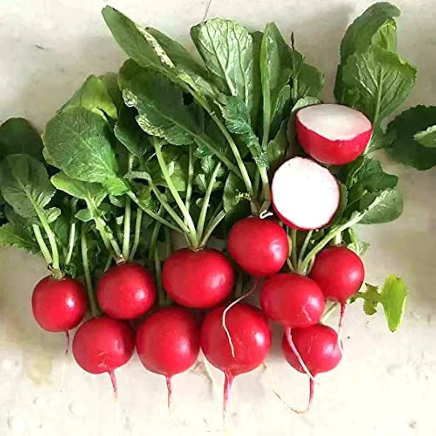 Cherry Belle Radish Seeds