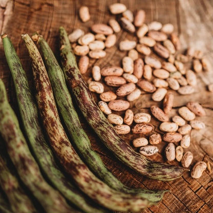Rattlesnake Pole Bean Seed