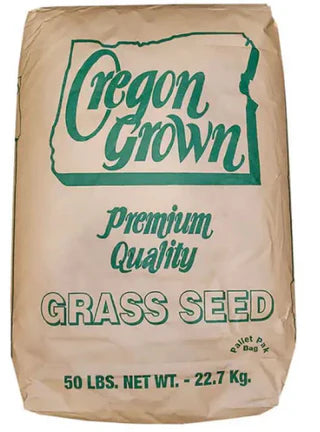 Annual Ryegrass