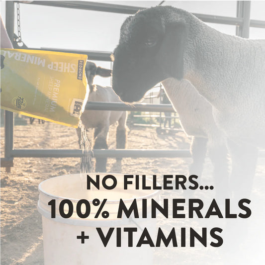 Redmond Premium Sheep Mineral