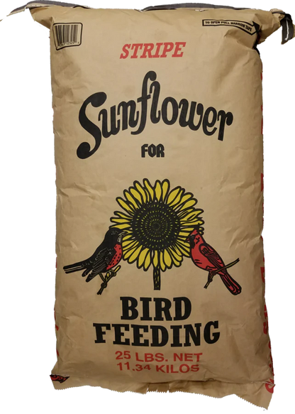 Large Striped Sunflower Seeds