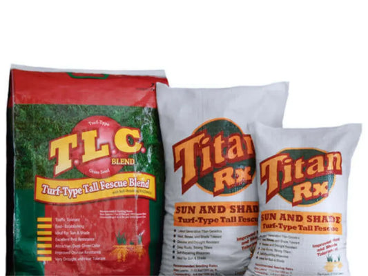 Titan Turf Type Tall Fescue