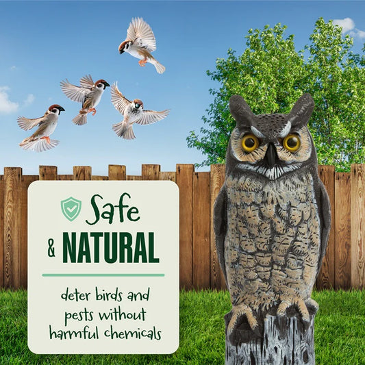 Garden Owl Decoy