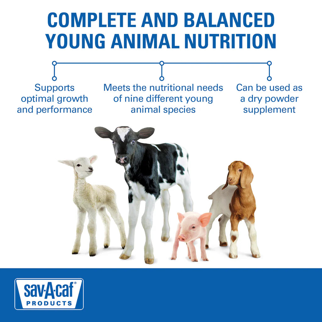 Ultra 24 Multi-Species Milk Replacer