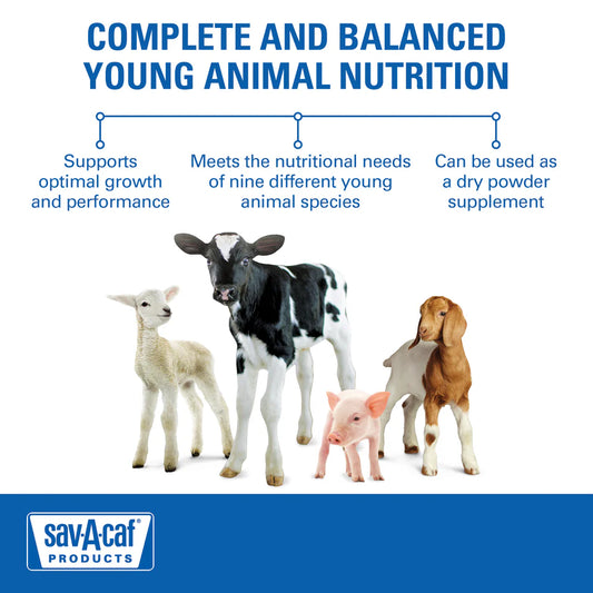 Ultra 24 Multi-Species Milk Replacer