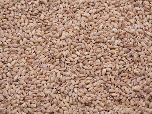Pearled Barley