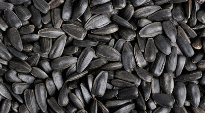 Black Oil Sunflower Seeds