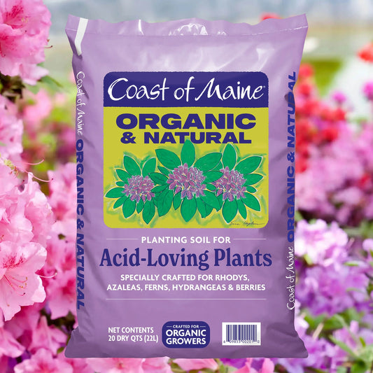 Coast Of Maine Soil for Acid Loving Plants