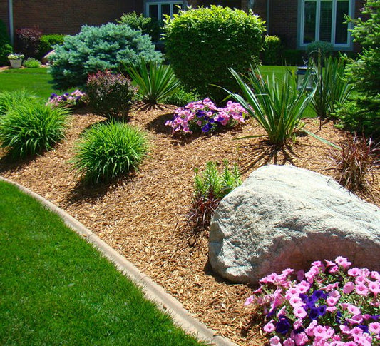 Cypress Mulch