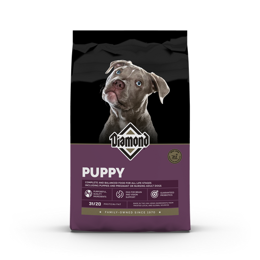 Diamond Puppy 20lbs