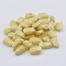 White Corn