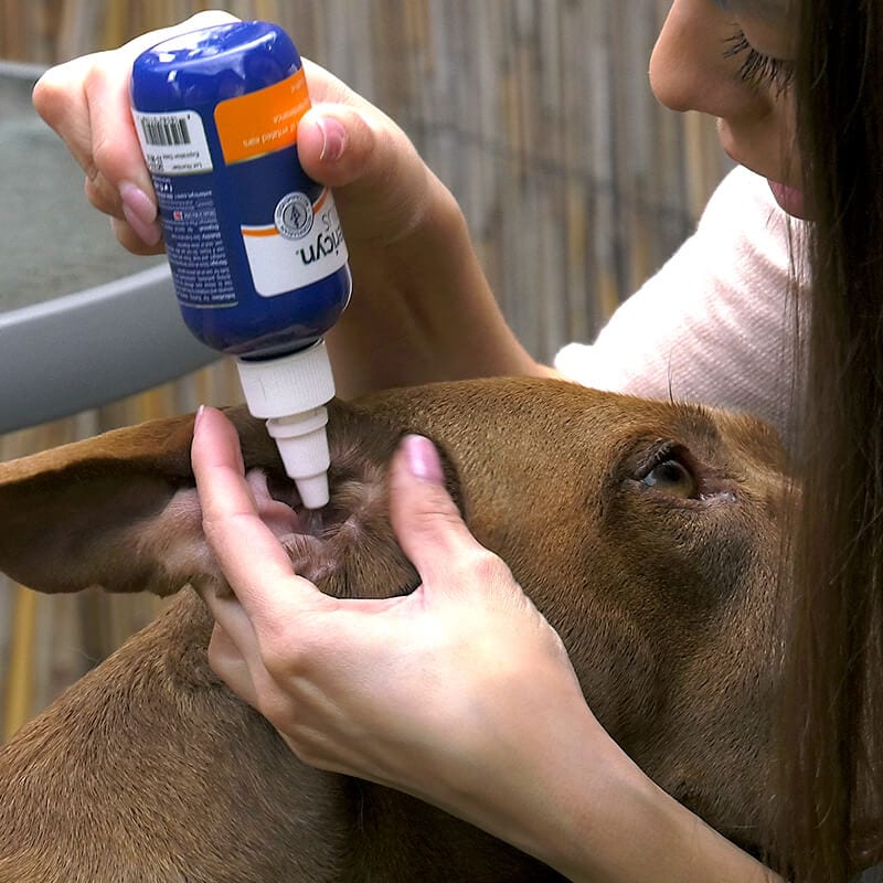 Vetericyn Ear Rinse