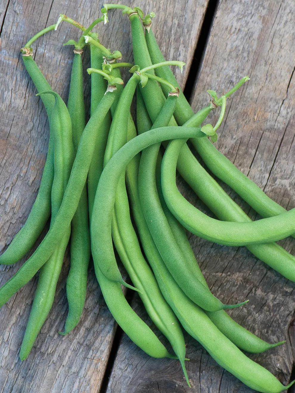White 1/2 Runner Beans