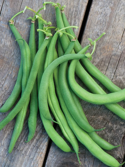 White 1/2 Runner Beans