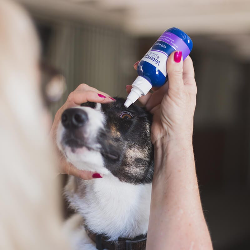 Vetericyn Eye Wash