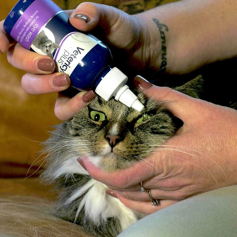 Vetericyn Eye Wash