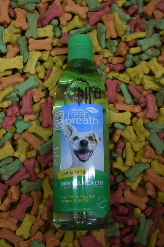 Fresh Breath Dental Health Solution