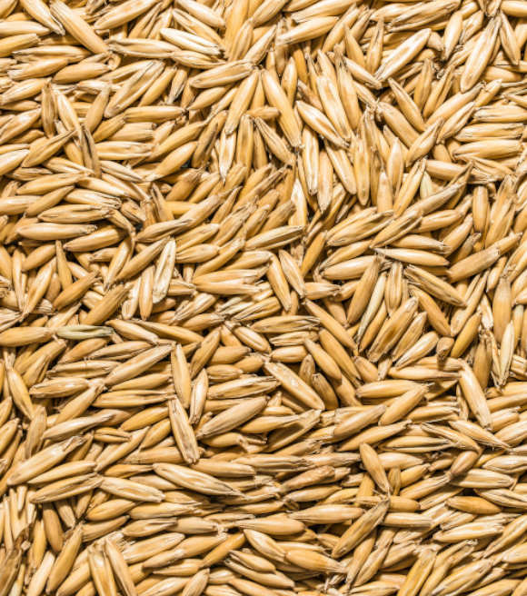 Whole Oats