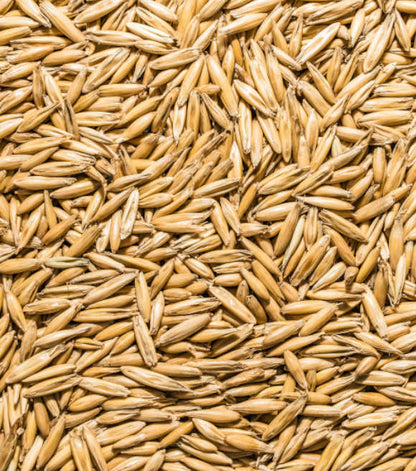 Whole Oats