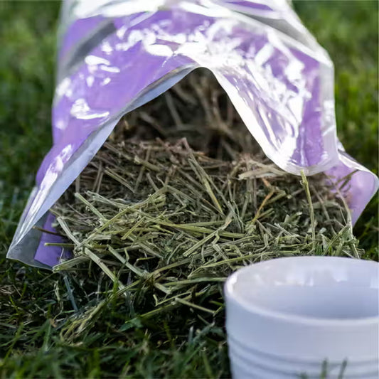 Standlee Alfalfa Hay for Small Animals