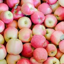 Ambrosia Apple 5gal