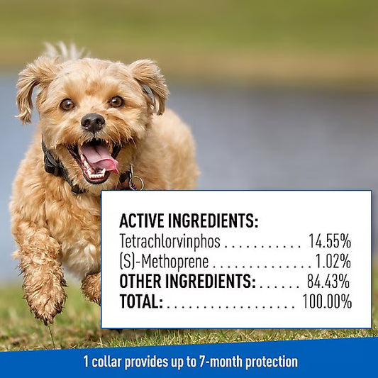 Adams Plus Flea and Tick Collar