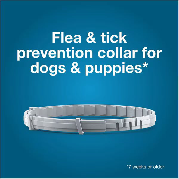 Seresto Large Dog Flea Collar
