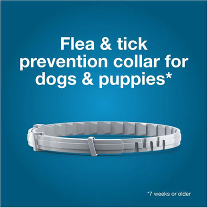 Seresto Large Dog Flea Collar