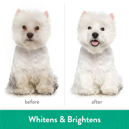 Tropiclean Whitening Shampoo